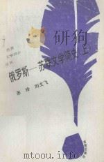 俄罗斯文学简史 1993 PDF电子版封面 7805907951 苏玲,刘文飞著