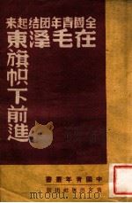 全国青年团结起来在毛泽东旗帜下前进-中华全国青年第一次代表大会文献 1950 PDF电子版封面 中国青年社辑