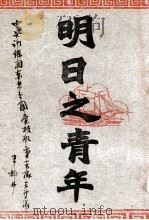 明日之青年 一名,吾国青年无用论 1945 PDF电子版封面 许晚成著