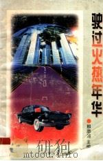 驶过火热年华 1996 PDF电子版封面 7500818351 邢渤涛主编