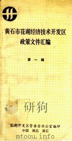 黄石市花湖经济技术发开区政策文件汇编 第1辑 PDF电子版封面