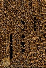 三民主义纲要（1945 PDF版）