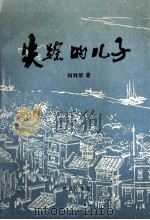 失踪的儿子 1994 PDF电子版封面 7543012987 何祚欢著