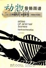 动物骨骼图谱 1992 PDF电子版封面 7562506353 (瑞士)施密德(Schmid,Elisabeth)著;李天元