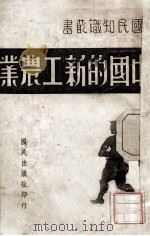 中国的新工农业（1940 PDF版）