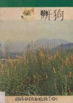 植物 1980 PDF电子版封面 亘理俊次等原著;魏尚俭译;郑元春校订