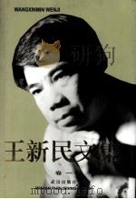 王新民文集 卷1 抒情诗 1999 PDF电子版封面 7543019787 王新民著