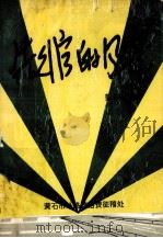 先行官的风采（ PDF版）