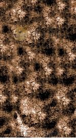 张子正蒙注  卷7上-7下（ PDF版）