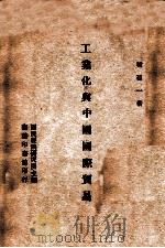 工业化与中国国际贸易 1946 PDF电子版封面