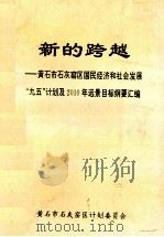 新的跨越  黄石市石灰窟区国民经济和社会发展“九五”计划及2010年远景目标纲要汇编（1996 PDF版）