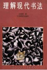 理解现代书法  书法向现代艺术、向前卫艺术的转型   1994  PDF电子版封面  7534321204  王南溟著 