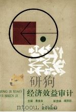 经济效益审计 1993 PDF电子版封面 7307015757 晏金发主编;阎洪钰副主编