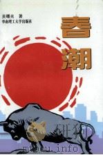 春潮 1996 PDF电子版封面 7562310580 吴曙光著