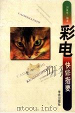 彩电快修指要 1997 PDF电子版封面 7507712257 刘战生编著