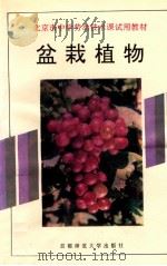 盆栽植物 1995 PDF电子版封面 7810395882 金洪学主编;陈敬忠等编