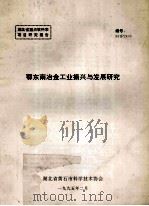 鄂东南冶金工业振兴与发展（1995 PDF版）