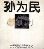 孙为民 1994 PDF电子版封面 7805824320 孙为民绘;水天中主编;戴士和,苏旅副主编