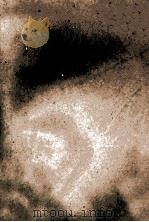 红字 霍桑小说选 1980 PDF电子版封面 7532706400 (美)霍桑著;侍桁译