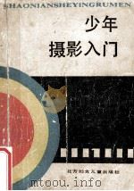 少年摄影入门 1989 PDF电子版封面 7538502696 胡晓青