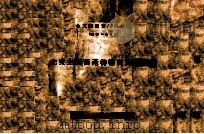 北支主要畜产物输出入统计表（1939 PDF版）