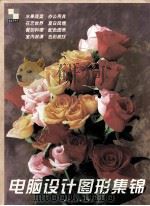 电脑设计图形集锦 1999 PDF电子版封面 7801144694 北京森淼园文化传播有限公司编