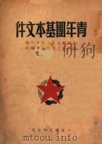 青年团基本文件   1949  PDF电子版封面    中国新民主主义青年团河南省工作委员会编 