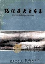 张胜远火笔画集 1987 PDF电子版封面 7805510121 张胜远绘