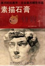 素描石膏 1985 PDF电子版封面 81561045 诸庭樵,骆振龙编辑