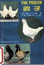 鸽子 1988 PDF电子版封面 7110007588 (美)利维著;张牧等编译