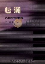 心潮 大提琴独奏曲 1989 PDF电子版封面 7103004439 王树曲