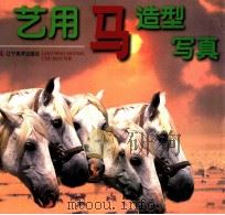 艺用马造型写真 1999 PDF电子版封面 7531420244 李升权,高志孝,张成思编