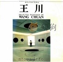 王川 走向原始的开端 1992 PDF电子版封面 7541006602 王川