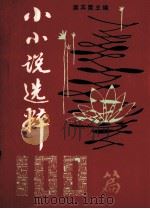小小说选粹100篇 1990 PDF电子版封面 扈其震主编