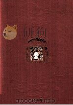 敦煌石窟艺术 莫高窟第八五窟附第一九六窟 晚唐 1998 PDF电子版封面 7534407990 梅林编著;宋利良摄影;敦煌研究院,江苏美术出版社编