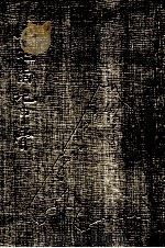 小屯南地甲骨 上 第1分册 1980 PDF电子版封面 901898 中国社会科学院考古研究所编著