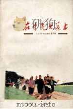 在金光大道上  上山下乡知识青年通讯集（ PDF版）