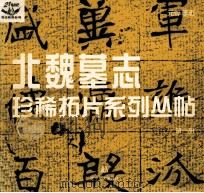 元賥墓志 1999 PDF电子版封面 7531422832 卢林编