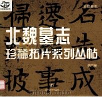 王偃墓志 1999 PDF电子版封面 7531422832 卢林编