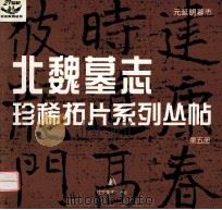 元延明墓志 1999 PDF电子版封面 7531422832 卢林编
