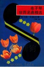 电子琴世界名曲精选 练习曲 乐曲120首 1992 PDF电子版封面 7536508611 丁泽馨,林捷编