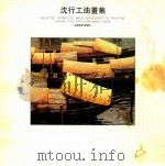 沈行工油画集 1992 PDF电子版封面 7534402581 沈行工绘