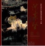 沈柔坚画集 1995 PDF电子版封面 7532045404 沈柔坚绘