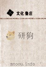 文化鲁庄（ PDF版）