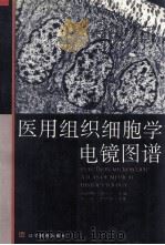 医用组织细胞学电镜图谱 1993 PDF电子版封面 7538227539 高俊峰,刘今方主编;王彦,李珍年主审