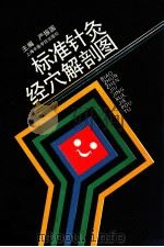 标准针灸经穴解剖图 1993 PDF电子版封面 7810102052 严振国主编