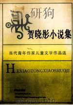 贺晓彤小说集 1991 PDF电子版封面 7533211685 贺晓彤著