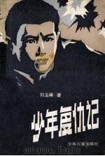 少年复仇记 1988 PDF电子版封面 7532400239 刘玉峰著