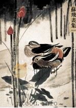 苏飞画集  花鸟篇（ PDF版）