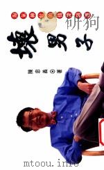 坏男子  淘气绅士的情爱颠覆   1995  PDF电子版封面  9578906390  陈忠义著 